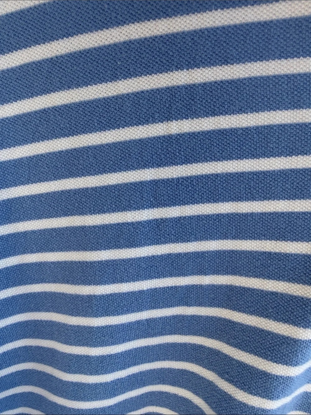 Ralph Lauren Blue and White Striped Polo Shirt with Red horse Logo